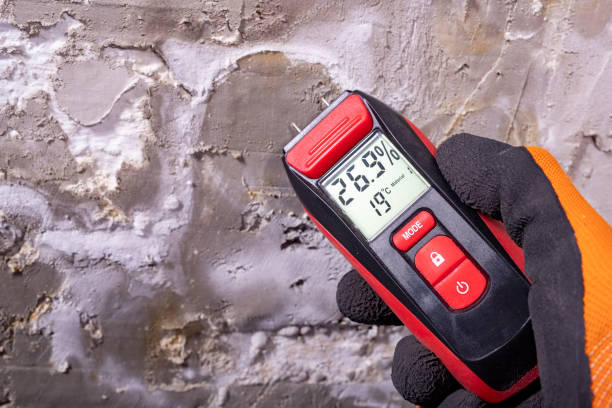 Best Black Mold Removal  in Utqiagvik, AK