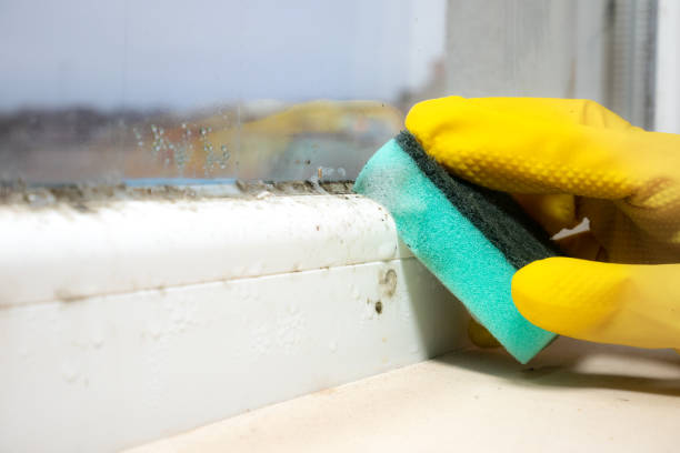 Best Mold Testing  in Utqiagvik, AK