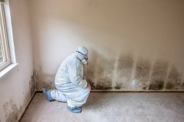 Best Mold Cleaning Services  in Utqiagvik, AK